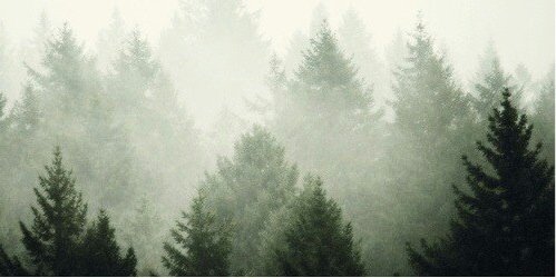ZacRPGDSL's profile banner image