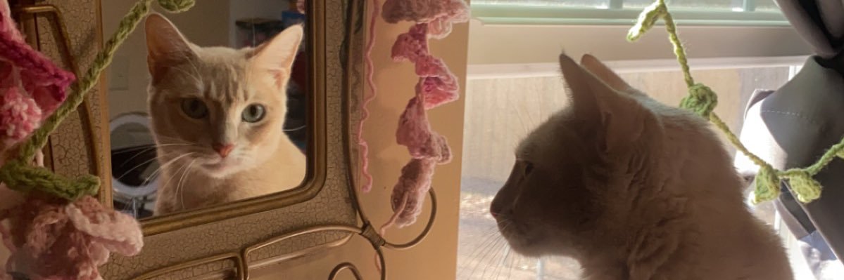 MaeMoonBean's profile banner image