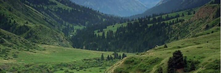 mshaal440's profile banner image