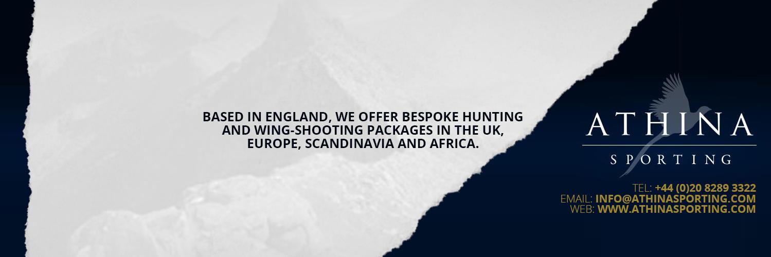 AthinaSporting's profile banner image