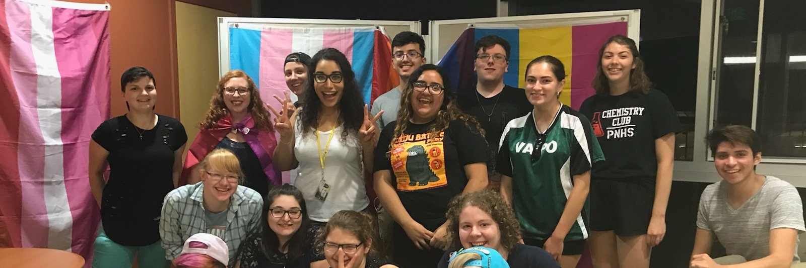 ValpoAlliance's profile banner image