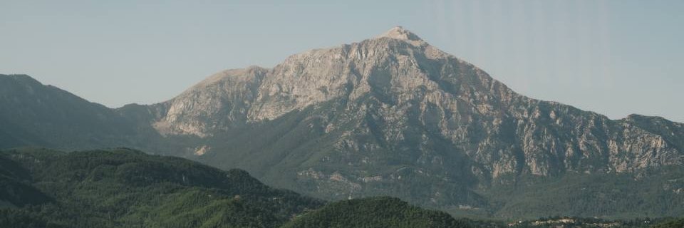 Free Pearsonified banner