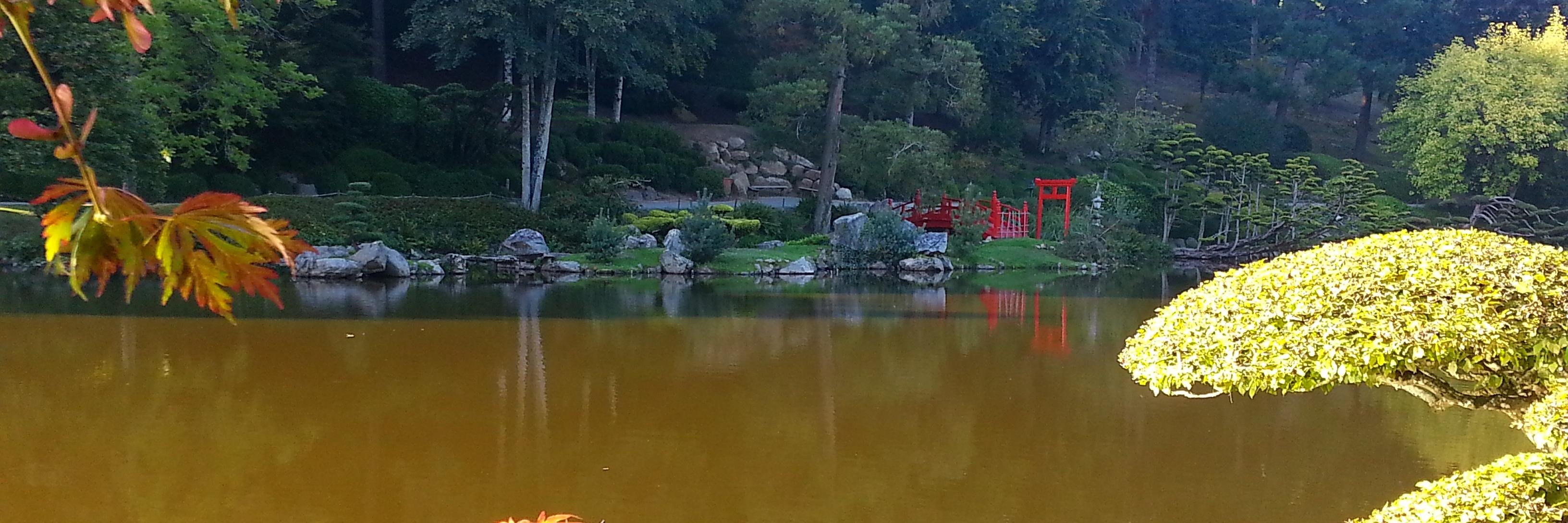 DirectriceEDENN's profile banner image
