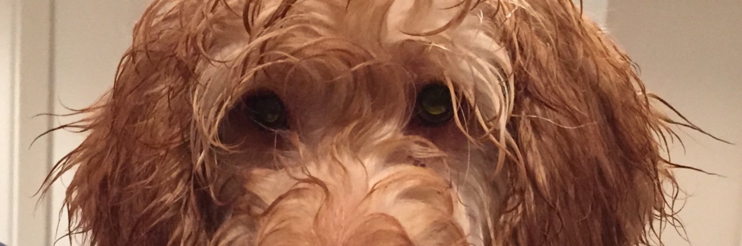 nikki24_w's profile banner image