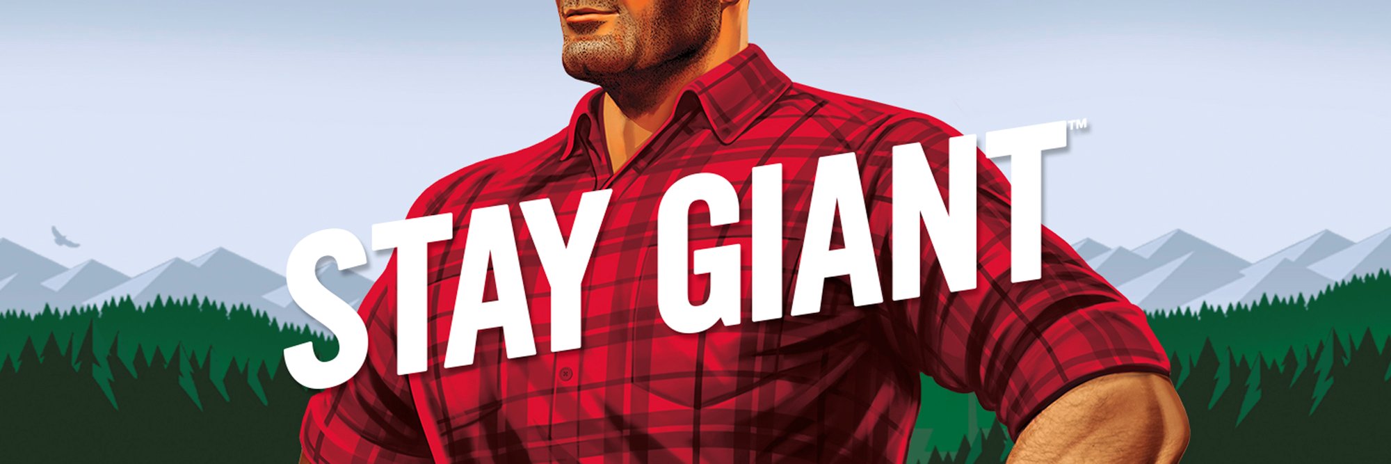 Brawny® banner