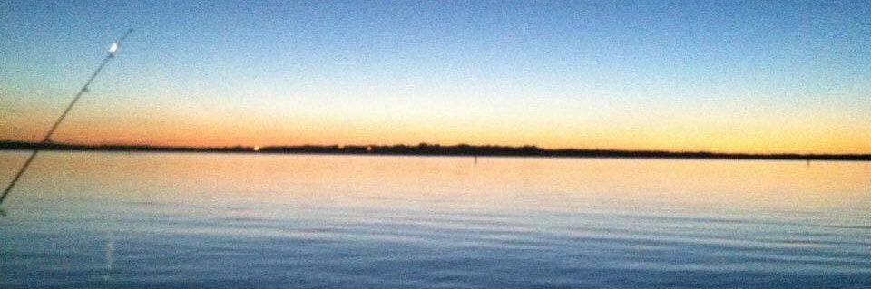 clellab1's profile banner image