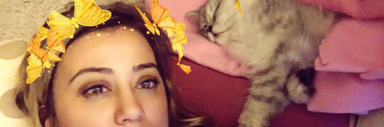 izzyandpaws's profile banner image