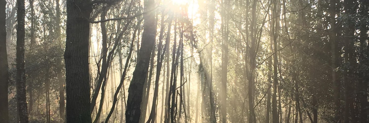 LauraLvallis's profile banner image