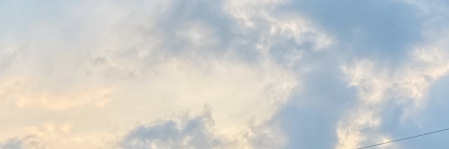 crxsbell's profile banner image