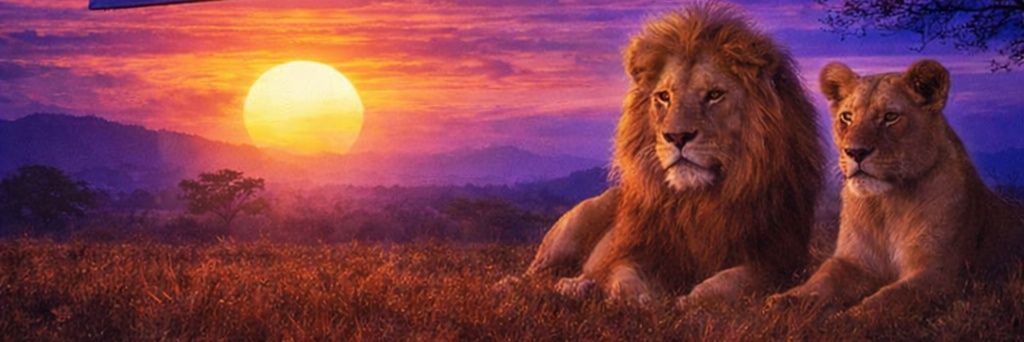 cris2033's profile banner image