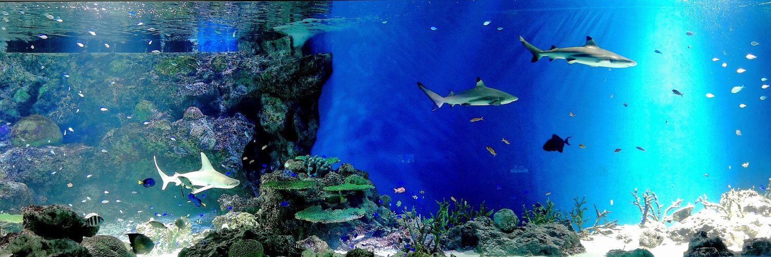 玲🐈️4/10ハイウェイの堕天使🚓重悟🐈️ banner