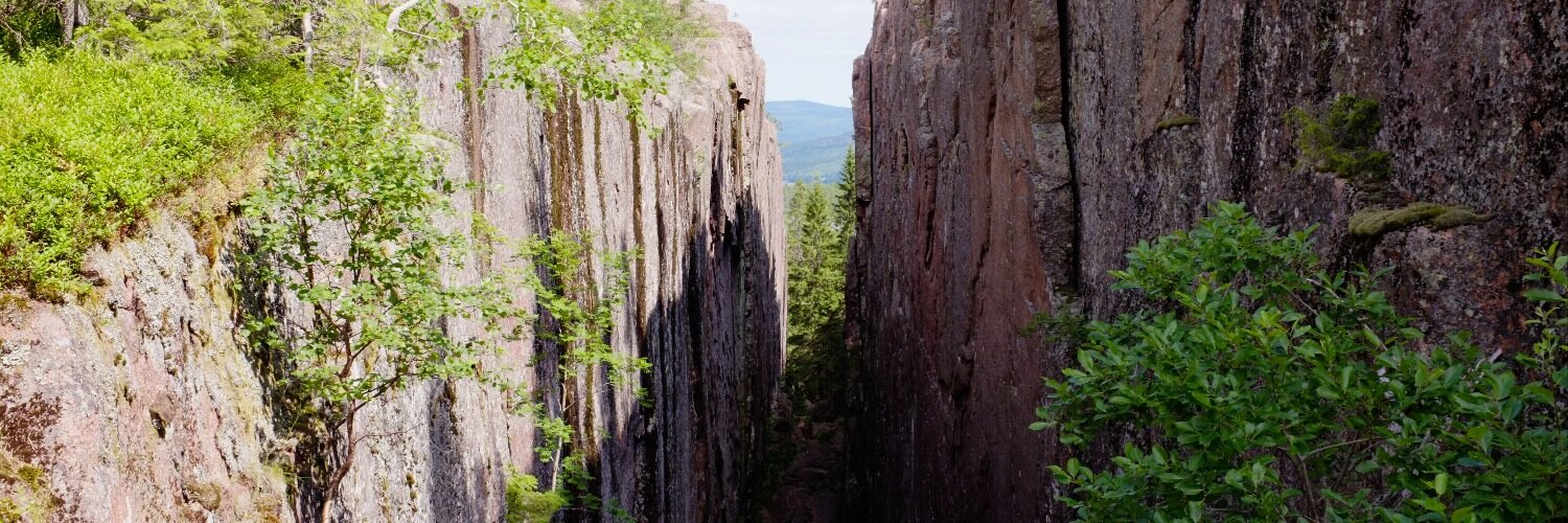 roitenr's profile banner image