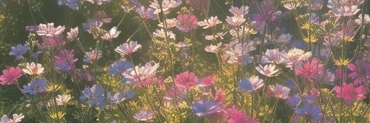runrun_skin's profile banner image