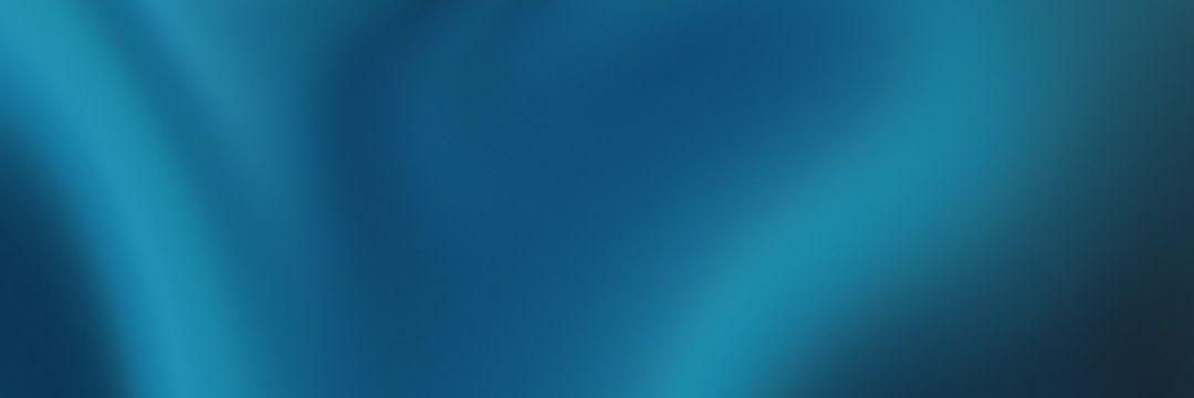 Perks of being zeynep banner