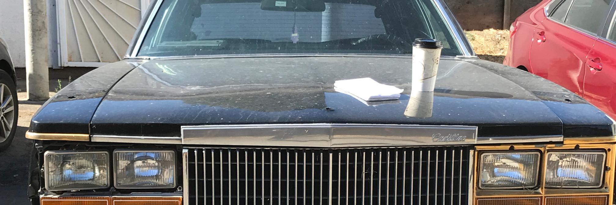 Michelle Conlin banner