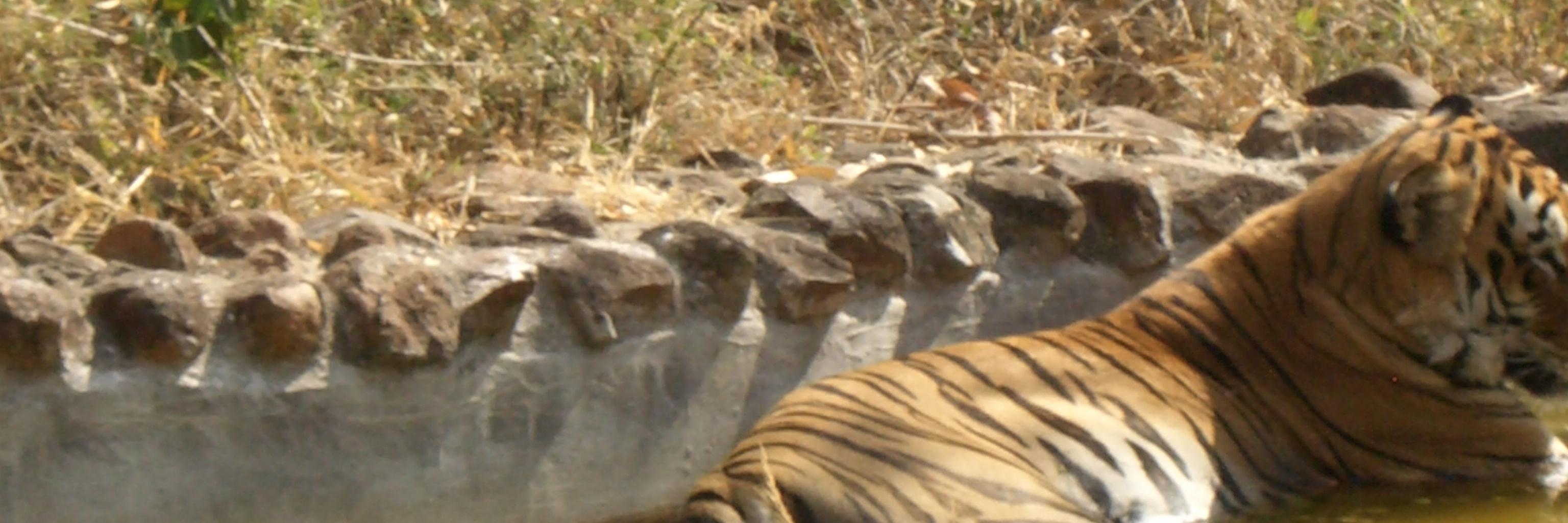 ranjan_vaibh's profile banner image