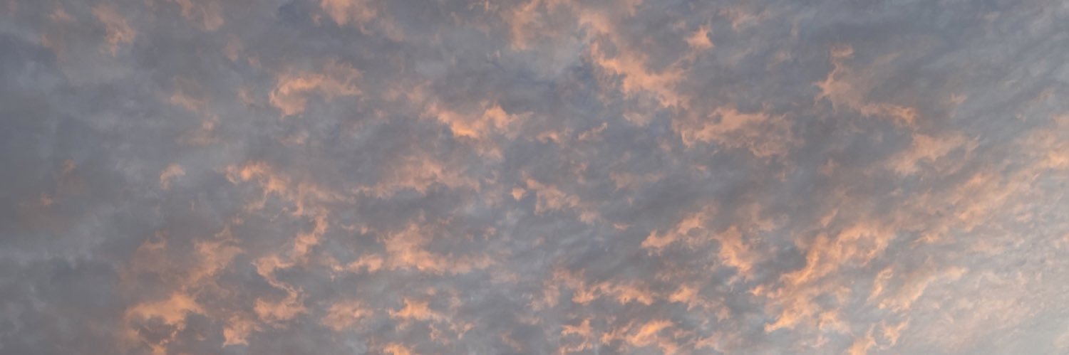 enyahsramos's profile banner image