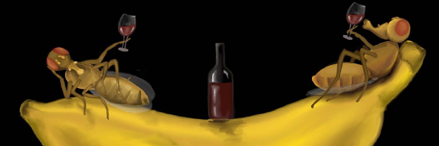 BRIITYA's profile banner image