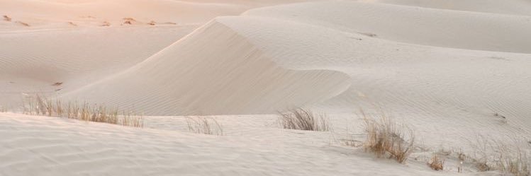 manndyls's profile banner image