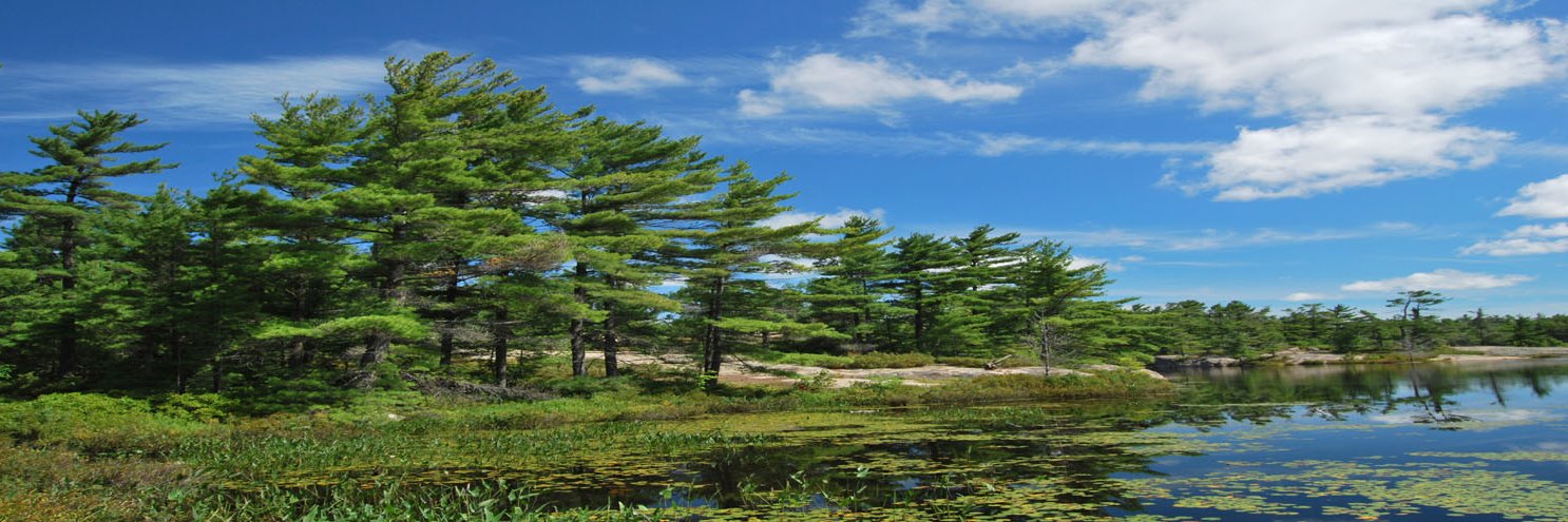 GTAOutdoors's profile banner image