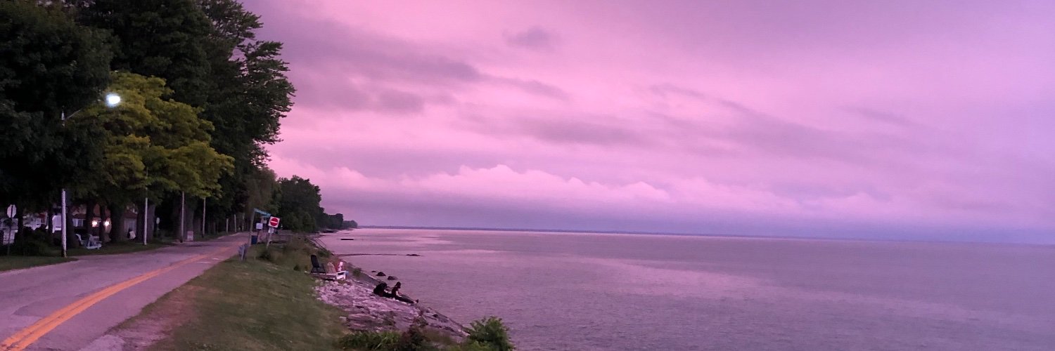 Olga Dementev banner