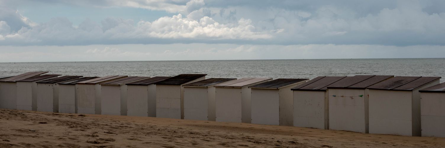 Ultraweed Mk V (NITROEXPRESS) banner