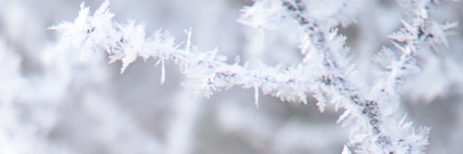 f0f_6da's profile banner image