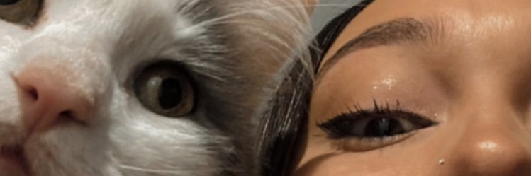 DelfiAsoli's profile banner image