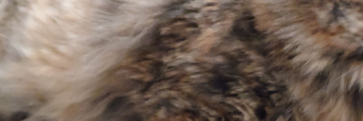 djo_0830's profile banner image