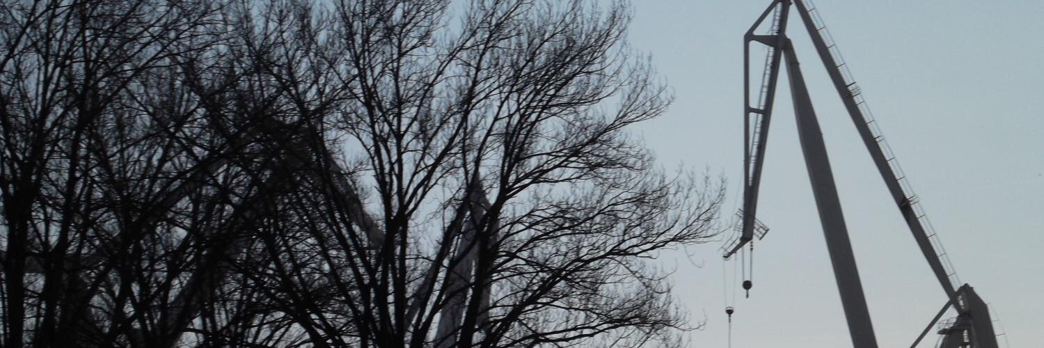 Carlos Piñeiro Diaz banner