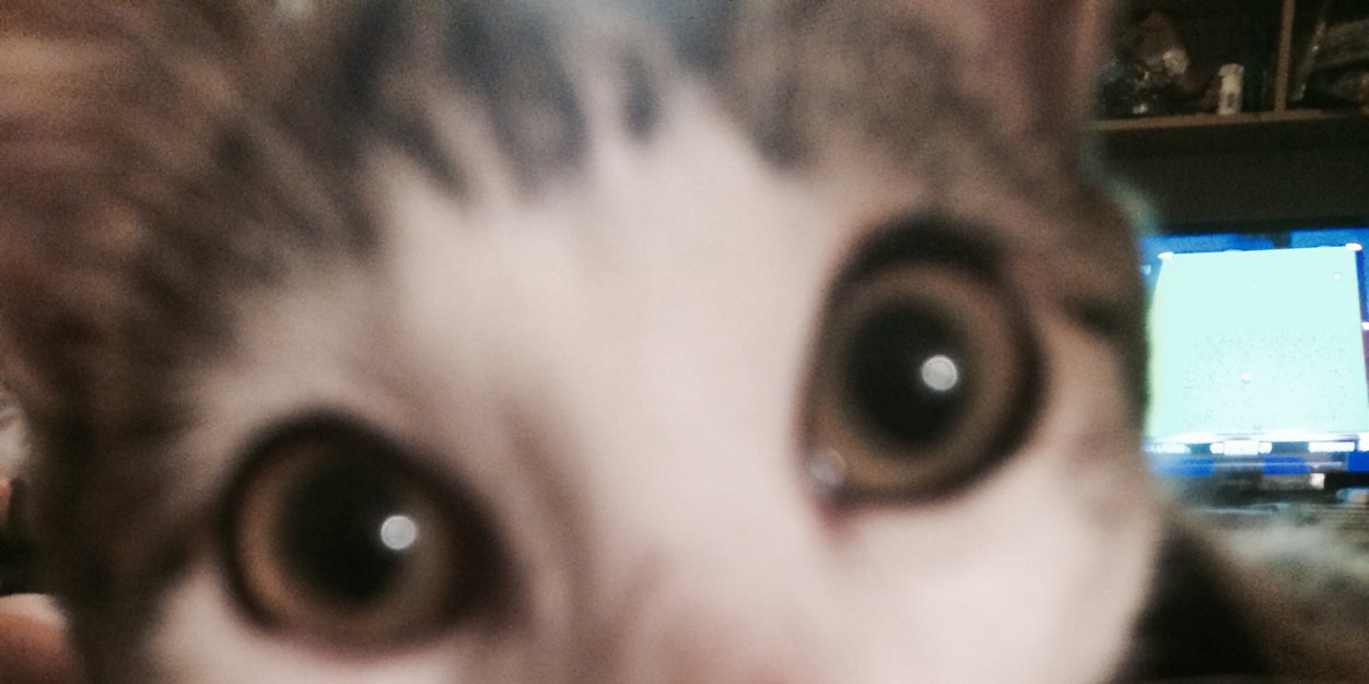 clairerees's profile banner image