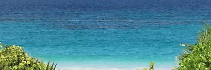 BikiniBatherSpa's profile banner image
