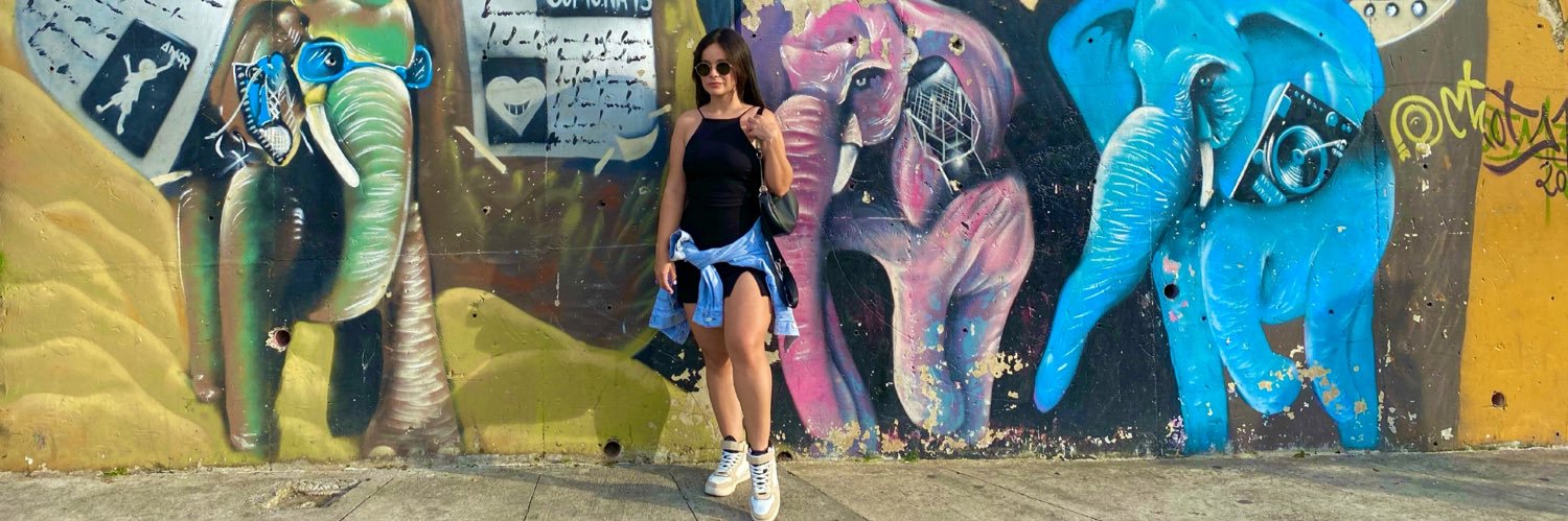 FairyDie_'s profile banner image