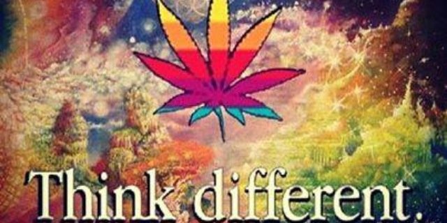 kadinbrown1's profile banner image