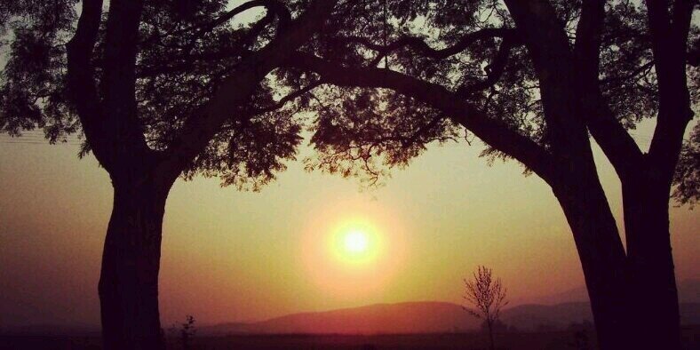 ♥Isabella George 🥰 banner