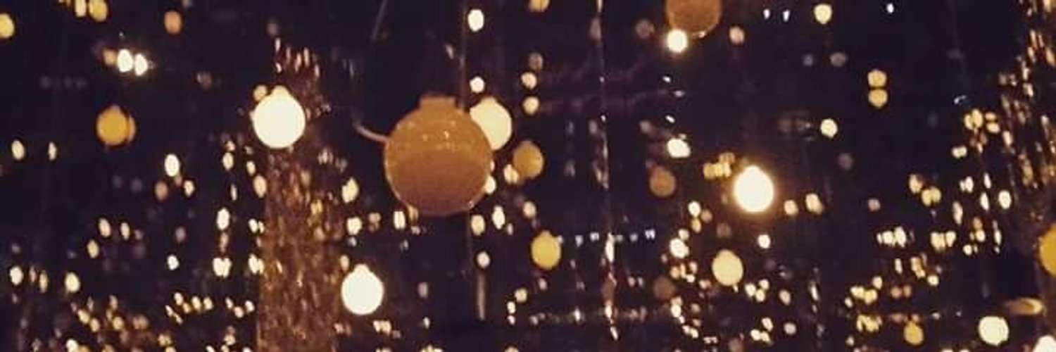 IreneZerbini's profile banner image