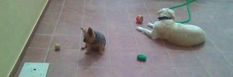 Ana G. Ugalde banner