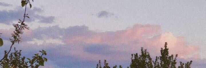 fiionana's profile banner image