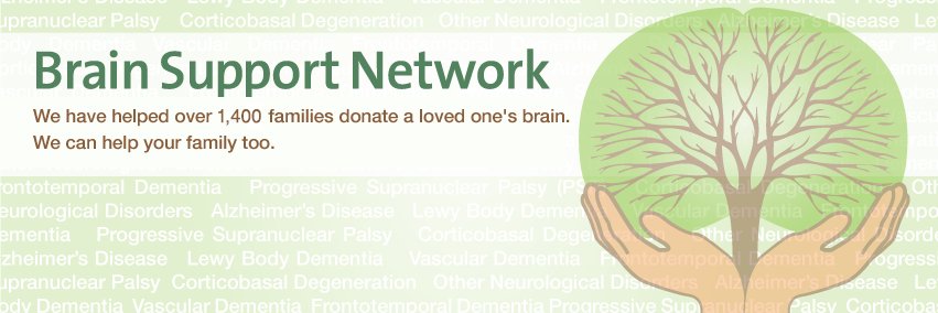 BrainSupportNetwork banner