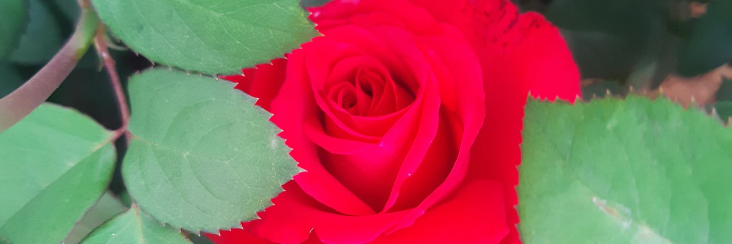 posta548's profile banner image