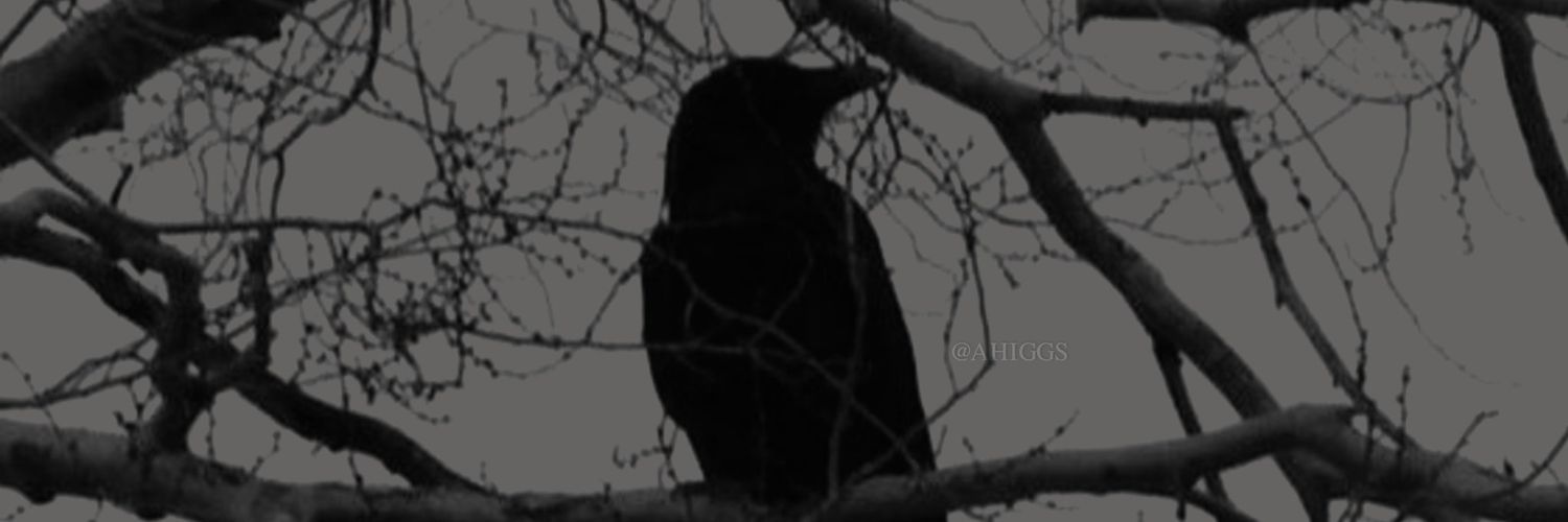 thefrenchmstake's profile banner image