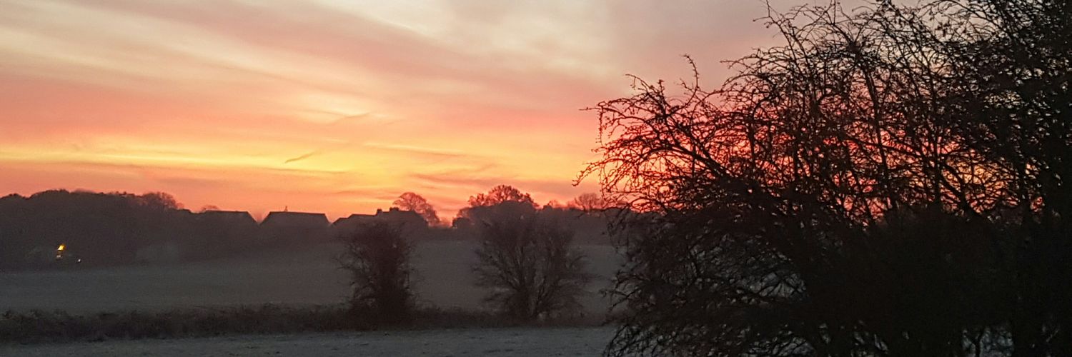 Cindy Readman 💙💛🇺🇦 banner