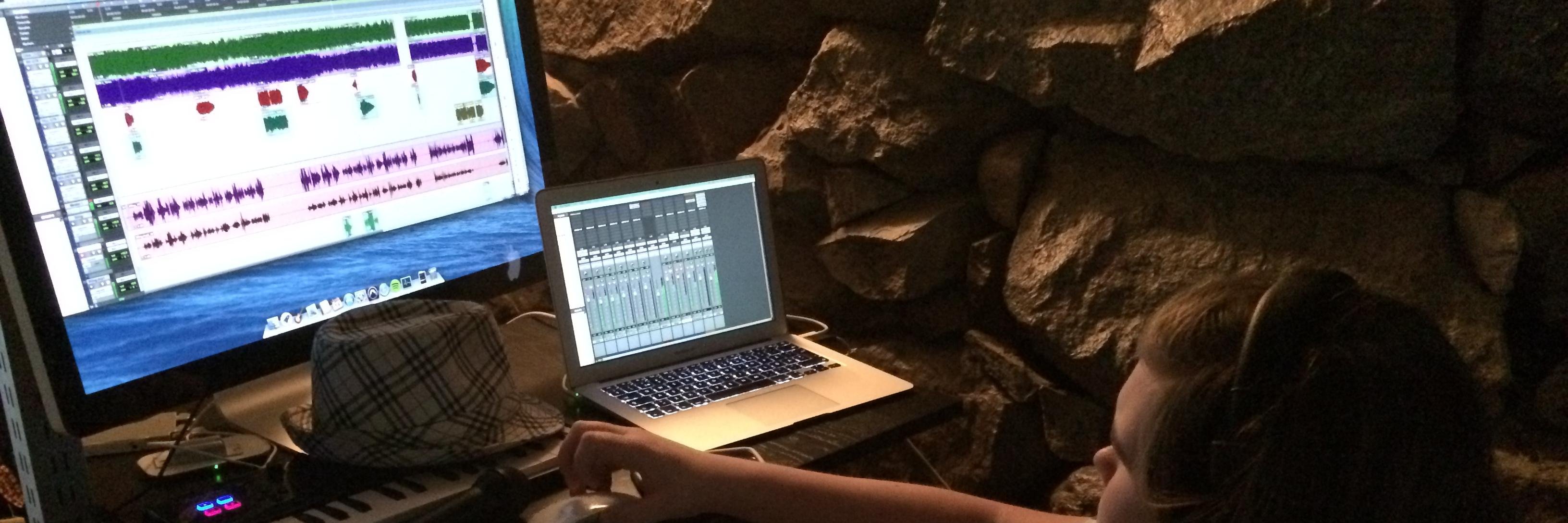 Skivbolagsdirektör Bergfeldt banner