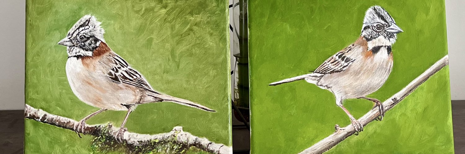 juankmonterop's profile banner image