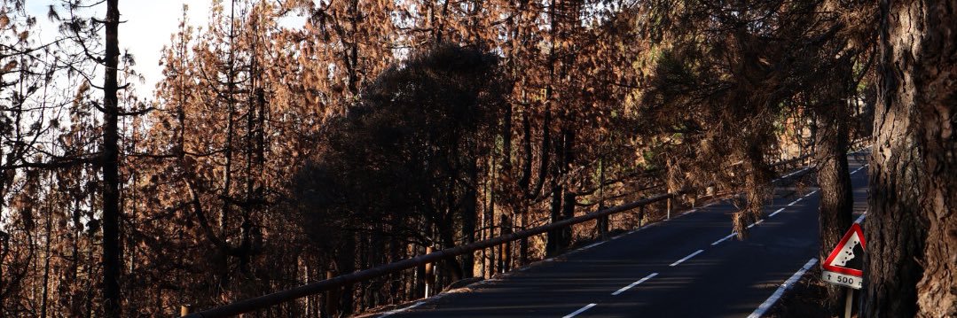 gabriartiless's profile banner image