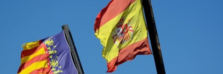 Amparo Cerdá 😻🇪🇸🇺🇦⚖️🦇💚 banner