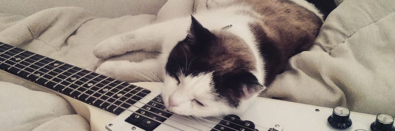 WhiteIama's profile banner image