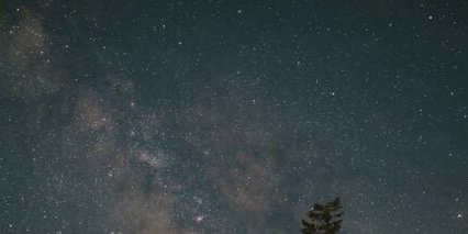 EllaGrahamUL's profile banner image