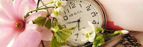 AliShaddad_Fans's profile banner image