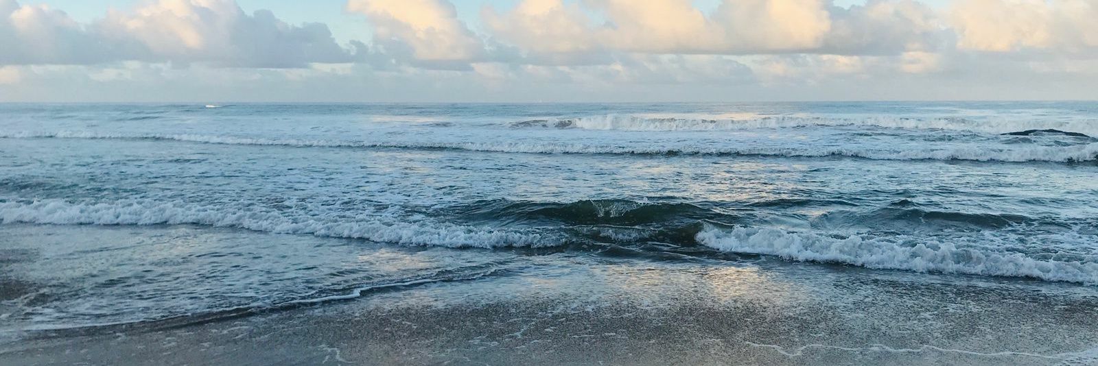 Senuri Gayara banner